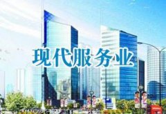 2024新澳门免费原料