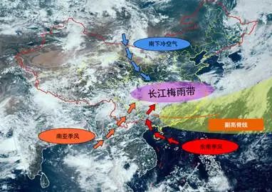 2024新澳门免费原料