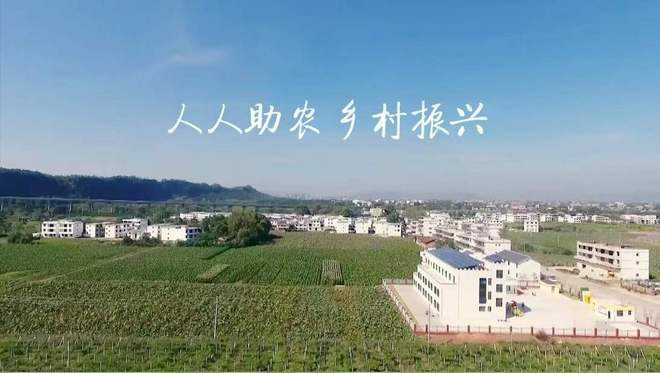 2024新澳门免费原料